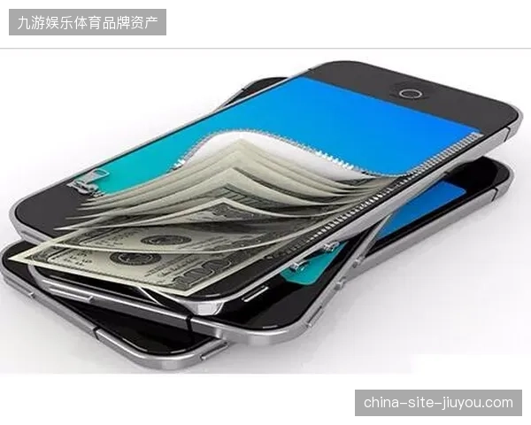 未来三年标准化聚合支付接口将彻底终结体育服务业的结算乱象